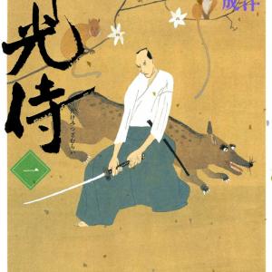 Samurai Kiếm Tre