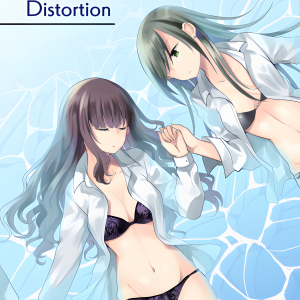 Distortion